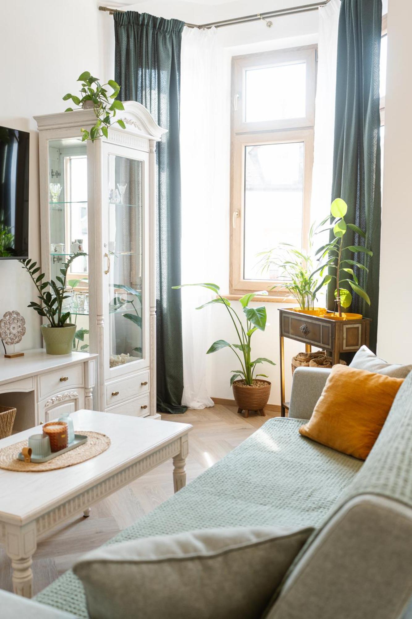 Franz Josef Apartmany, Apartman Zita 德辛 外观 照片